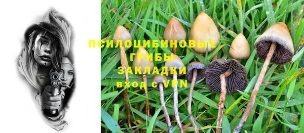 мескалин Каменногорск
