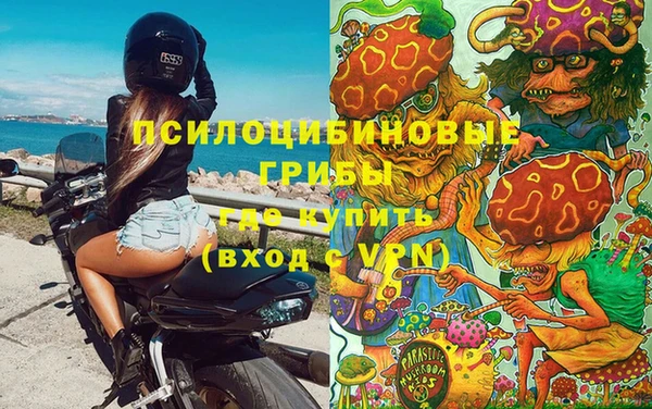 МДПВ Касимов