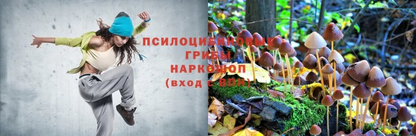 не бодяженный Каменка