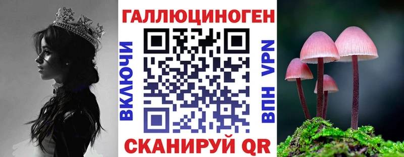 Галлюциногенные грибы Psilocybine cubensis  Купить где  Починок 